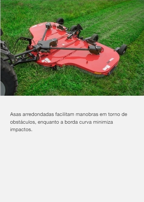 batwing_3